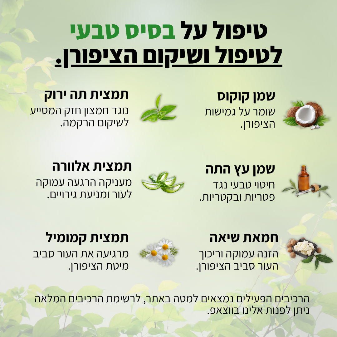 4 ב1 - הפרוטוקול של  Renova לשיקום פטרת ציפורניים - תוצאות או החזר כספי מלא!