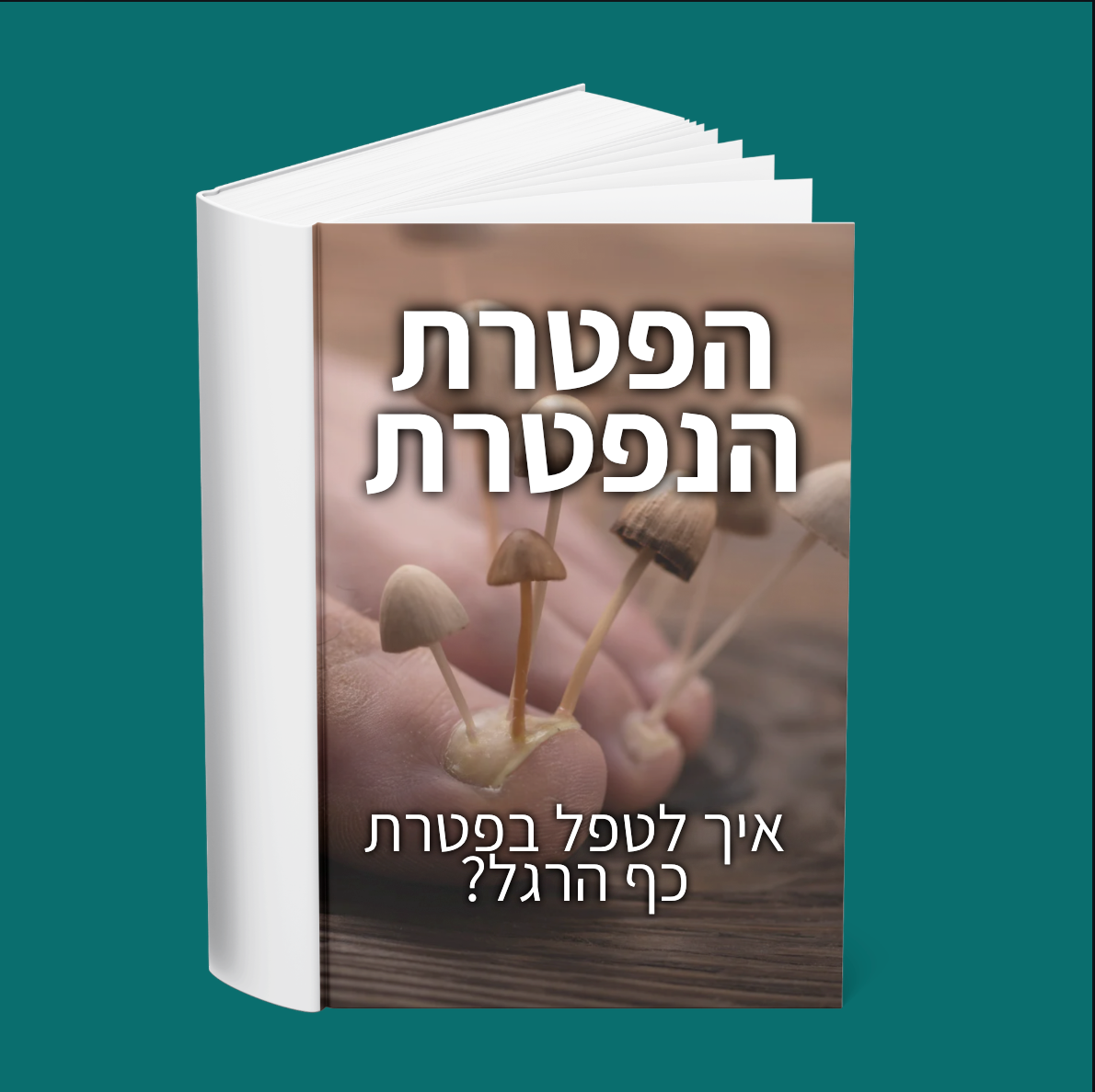 ספר דיגיטלי ״הפטרת הנפטרת״